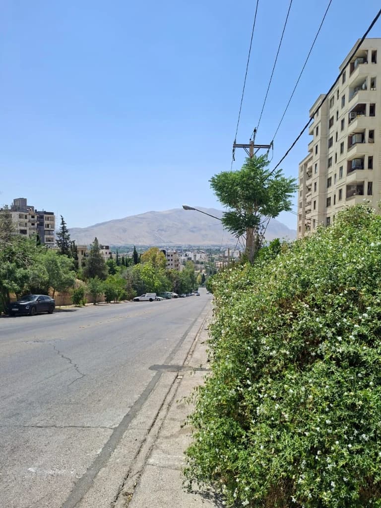 چشم انداز اطراف 