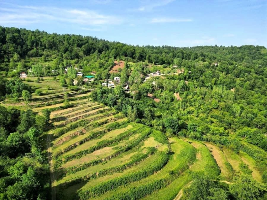 چشم انداز 