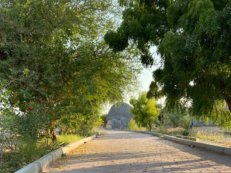 محوطه 