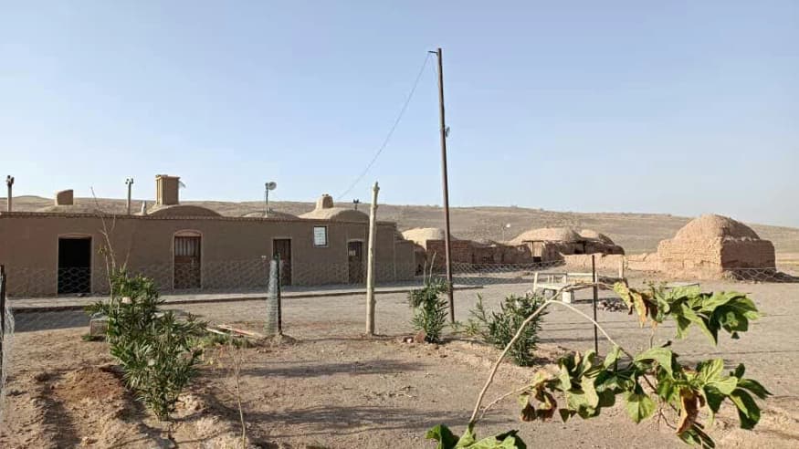 حیاط
