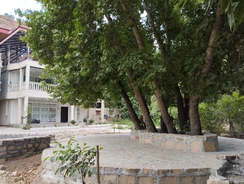 حیاط 