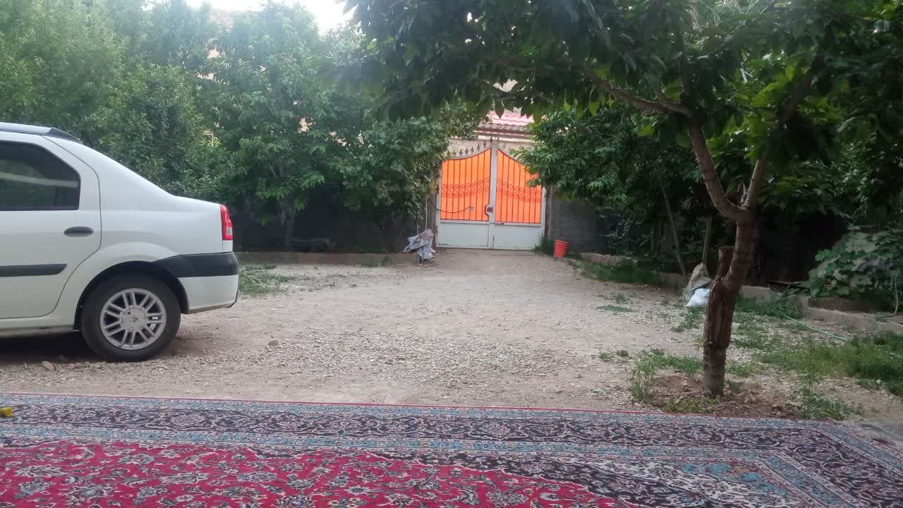 حیاط 