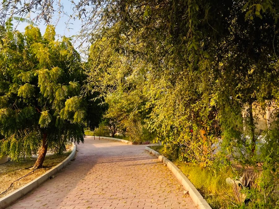 حیاط 