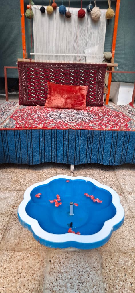 حیاط ویلا