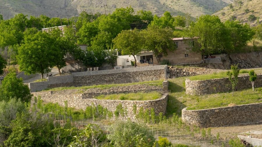 چشم انداز 
