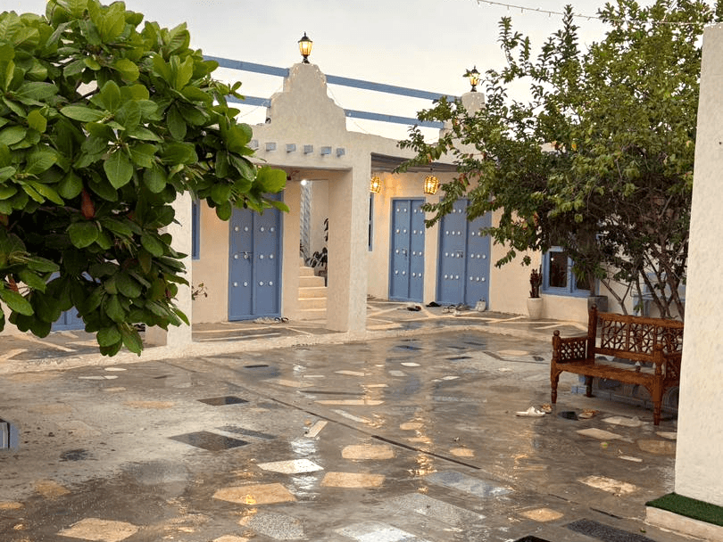 حیاط