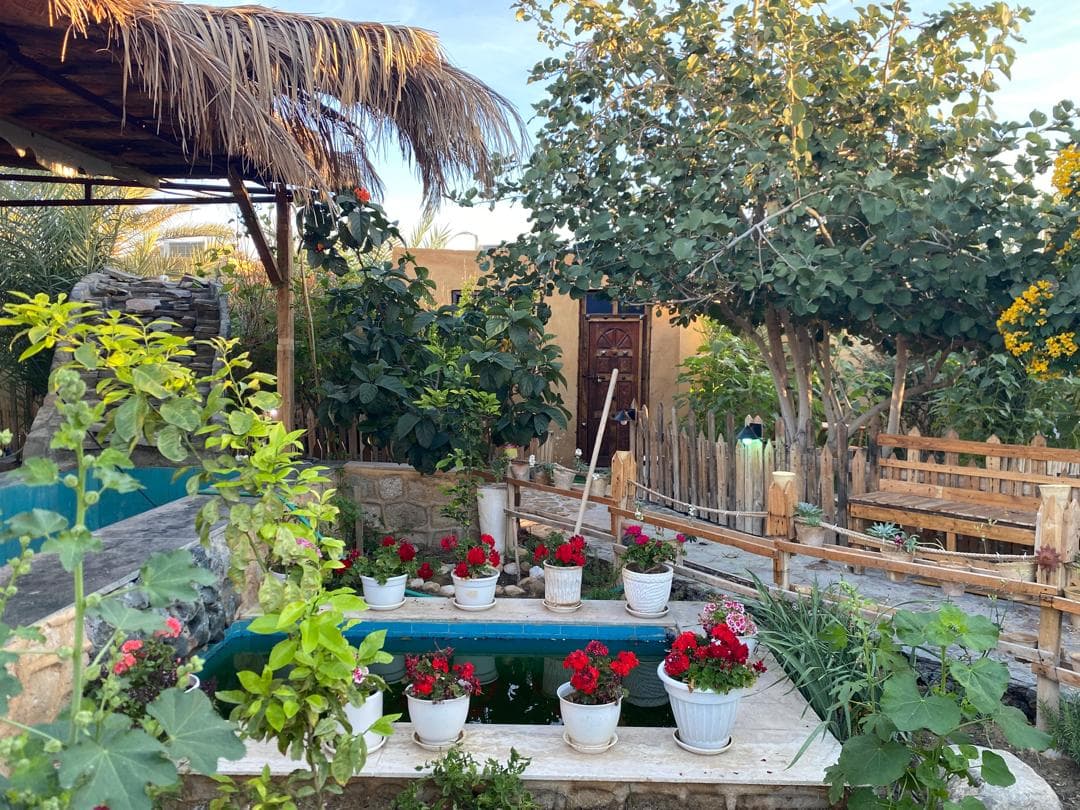 محوطه حیاط 