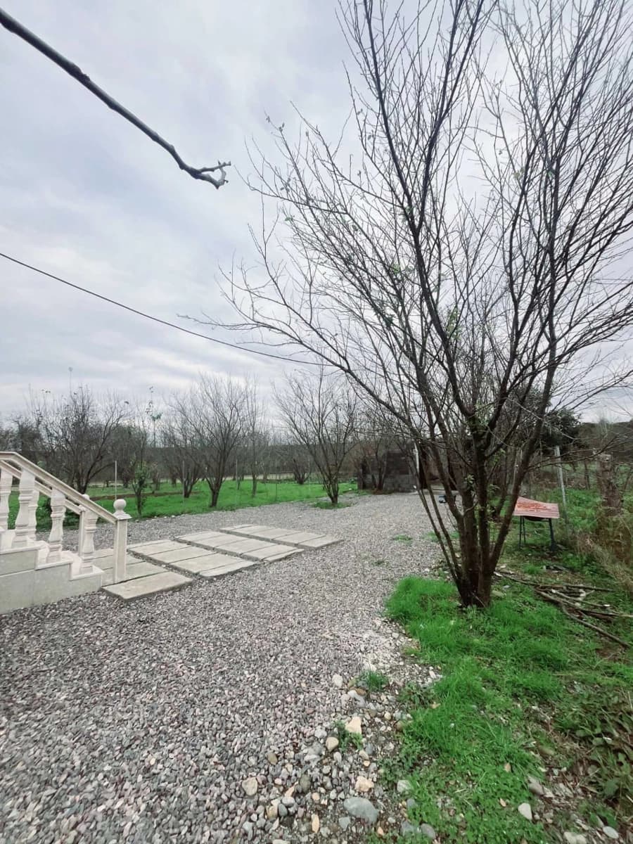 حیاط کلبه