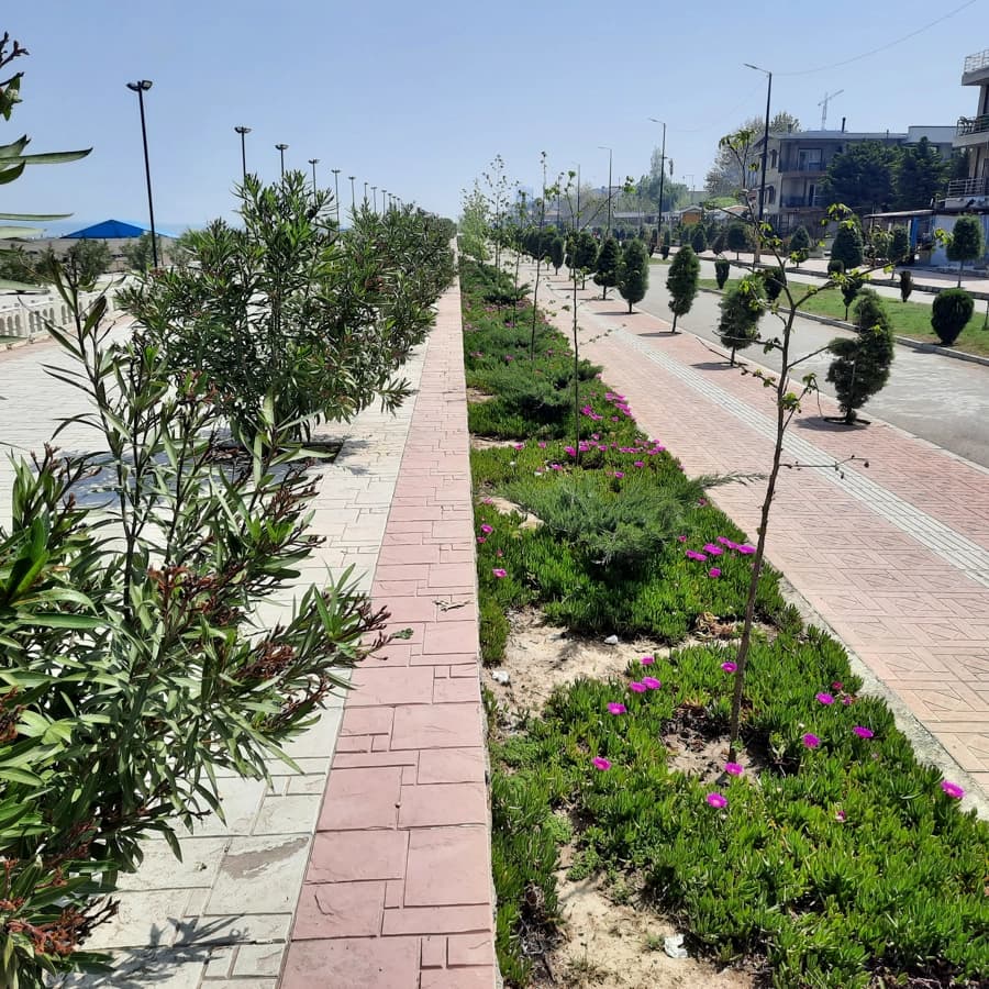 فضای سبز ساحل