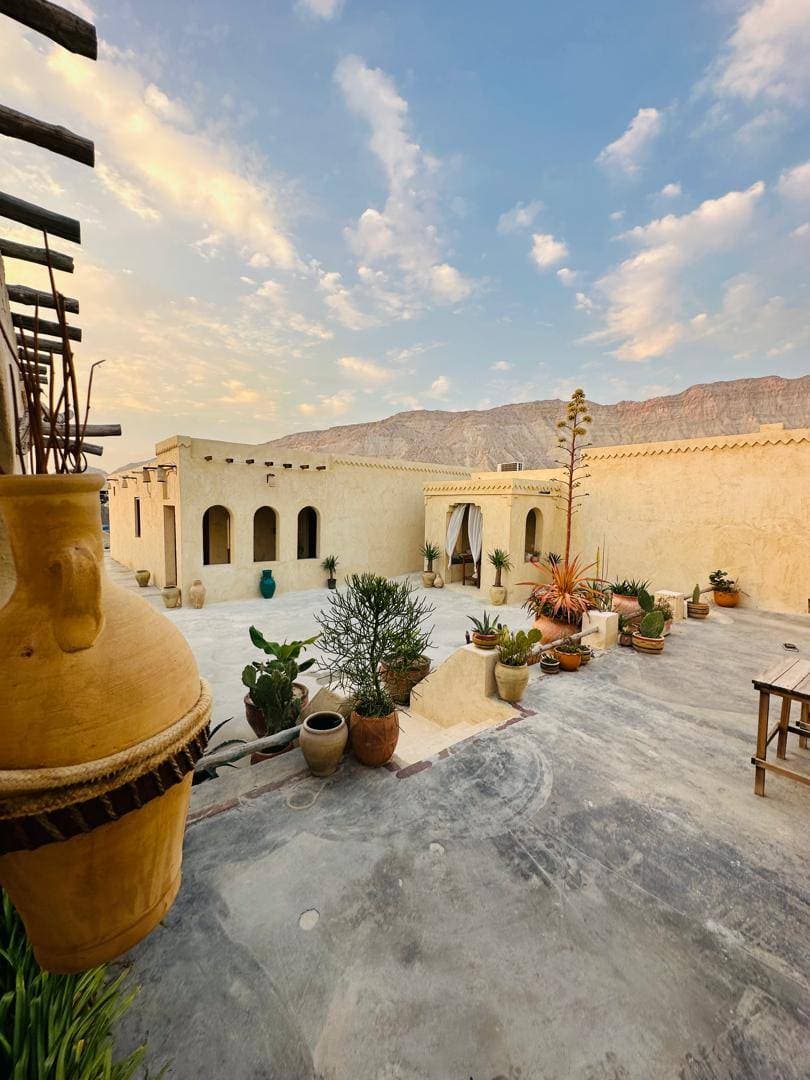 حیاط 