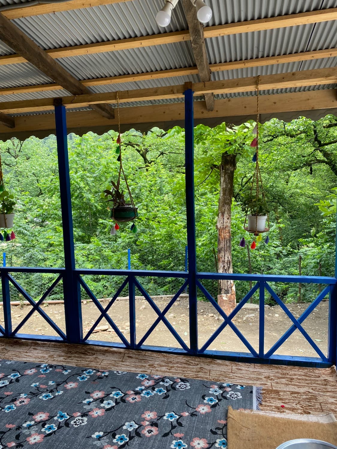 چشم انداز 