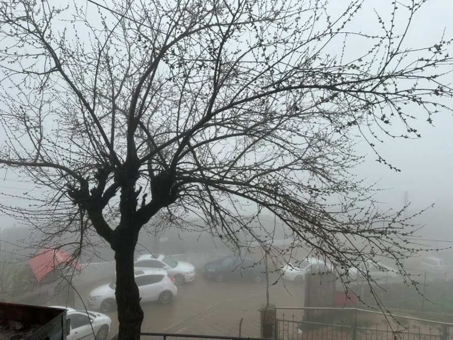 چشم انداز 
