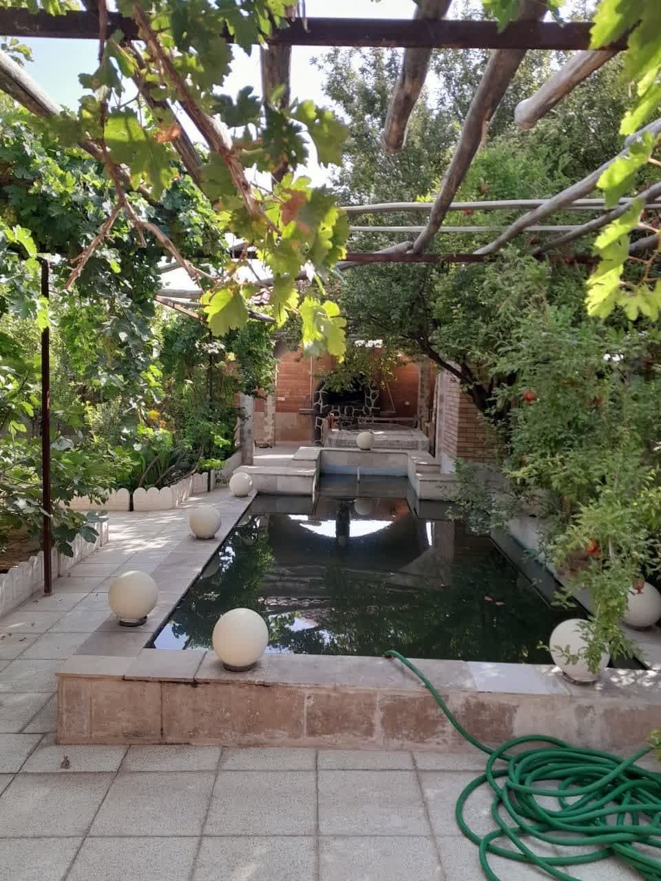 حیاط 