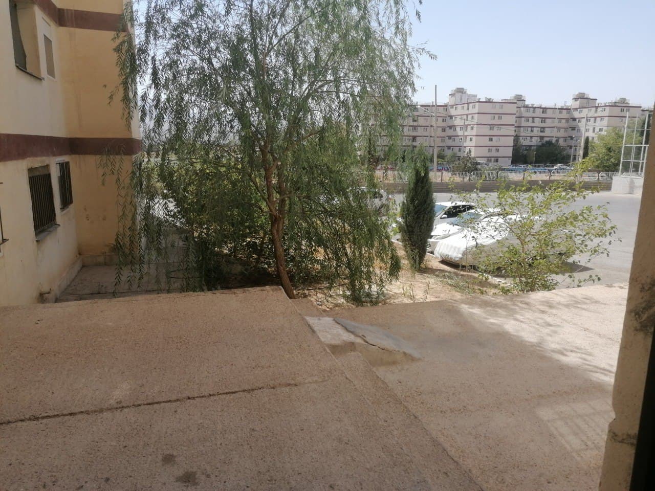 ورودی