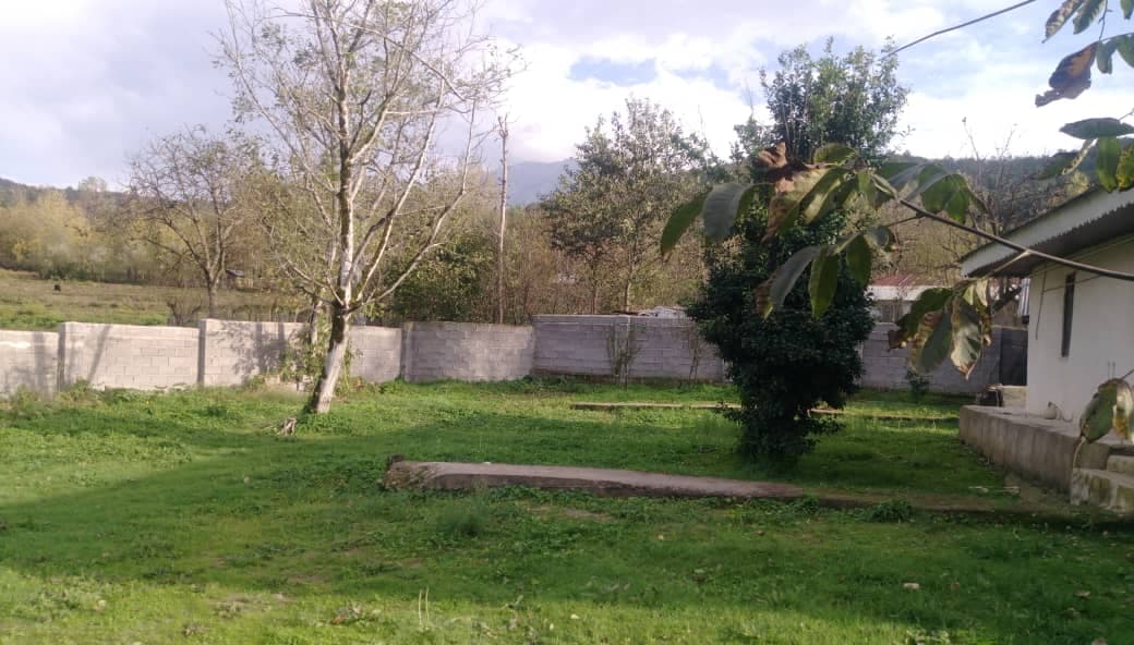 حیاط