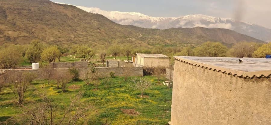 چشم انداز 