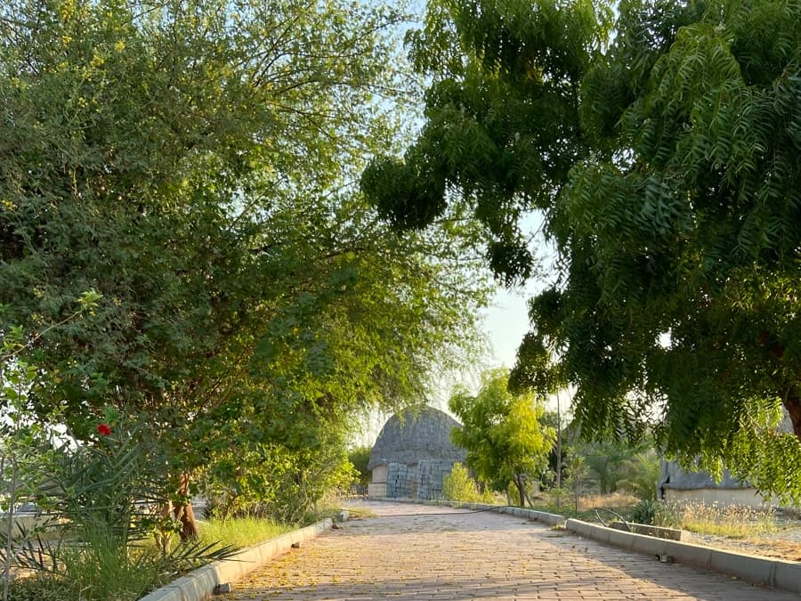 محوطه 