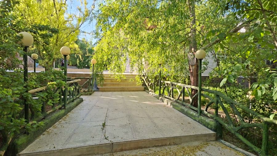 حیاط