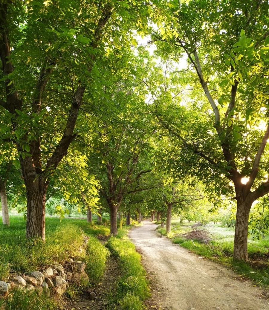 چشم انداز اطراف 