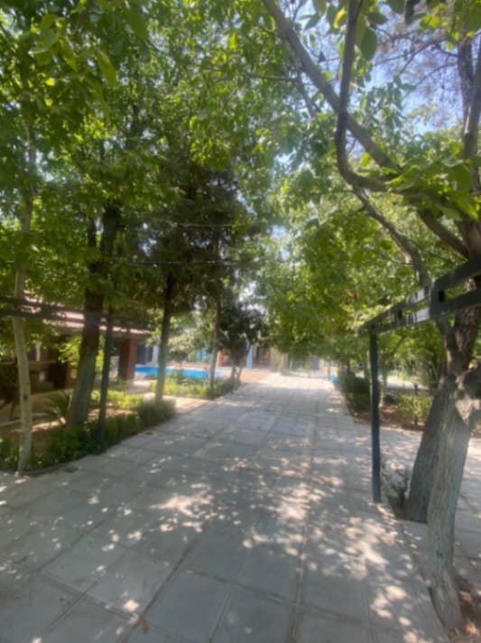 حیاط 