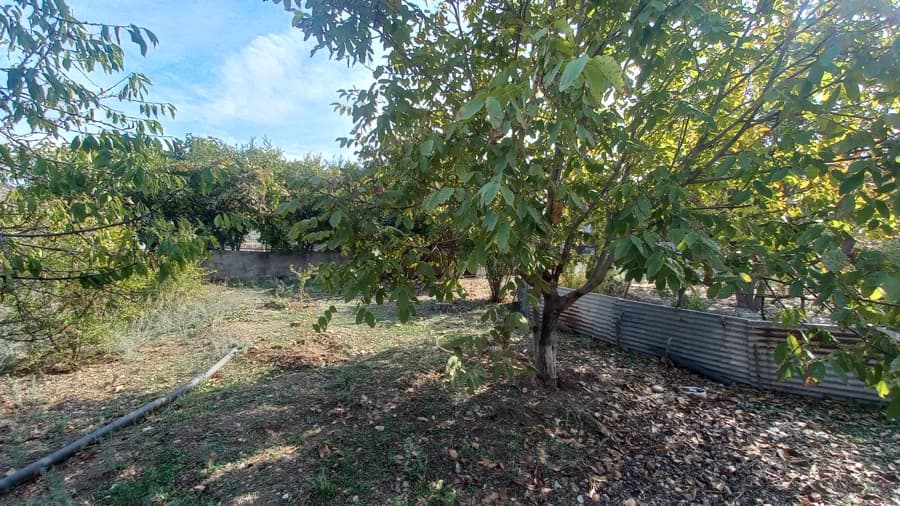 محوطه 