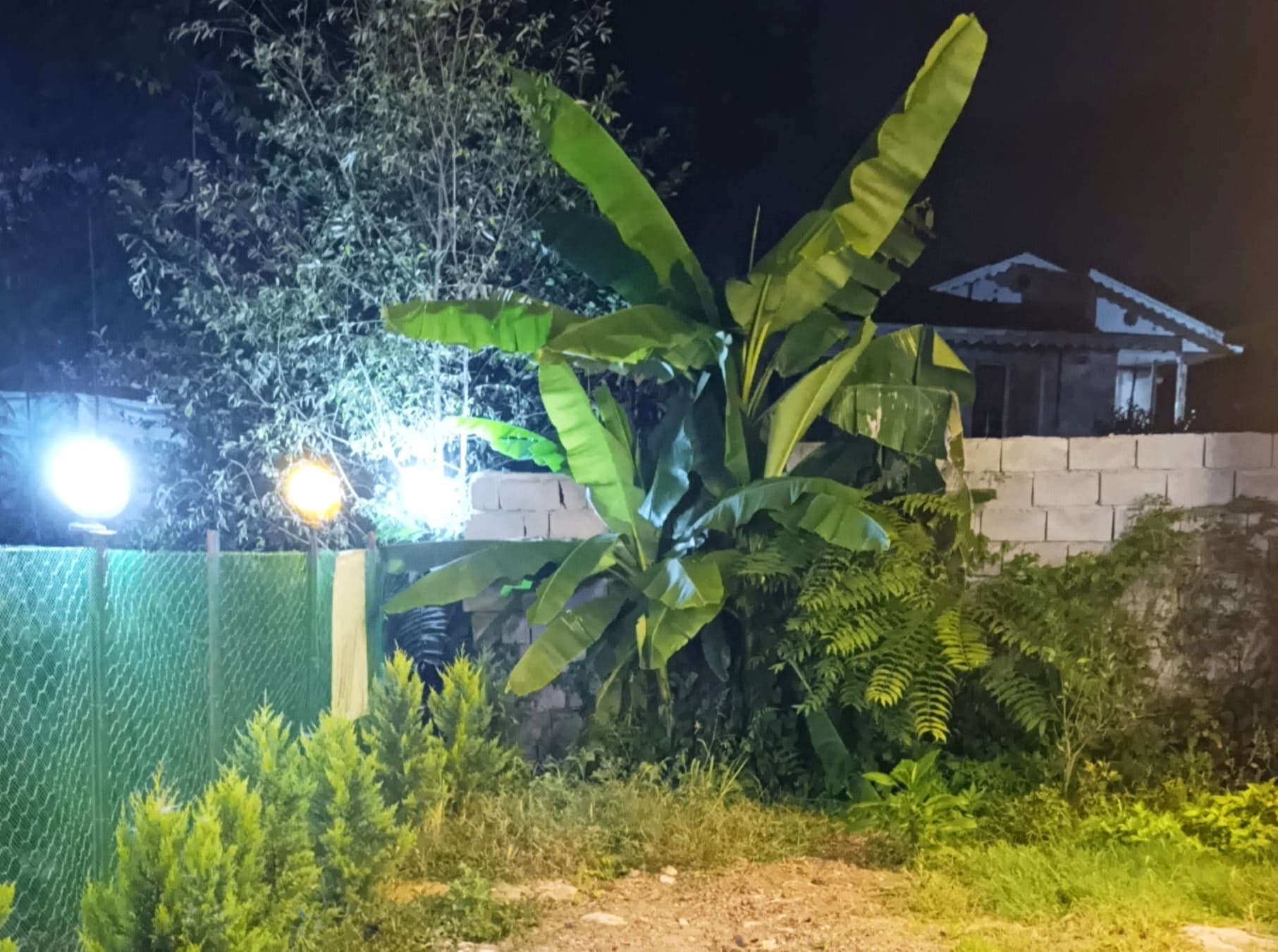 مموطه