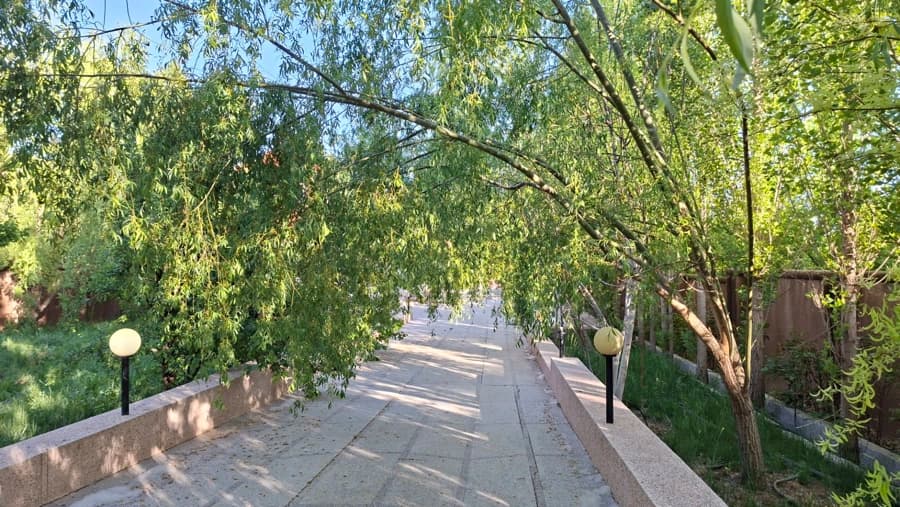 حیاط