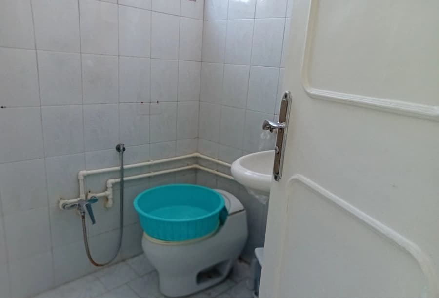 سرویس فرنگی 