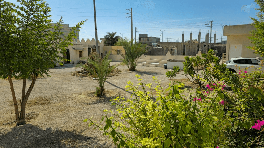 محوطه