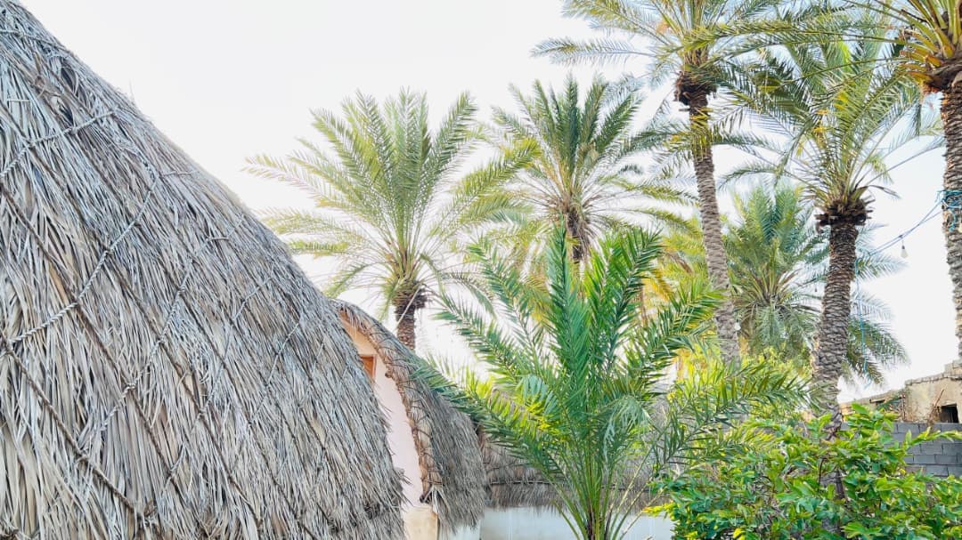 محیط اقامتگاه