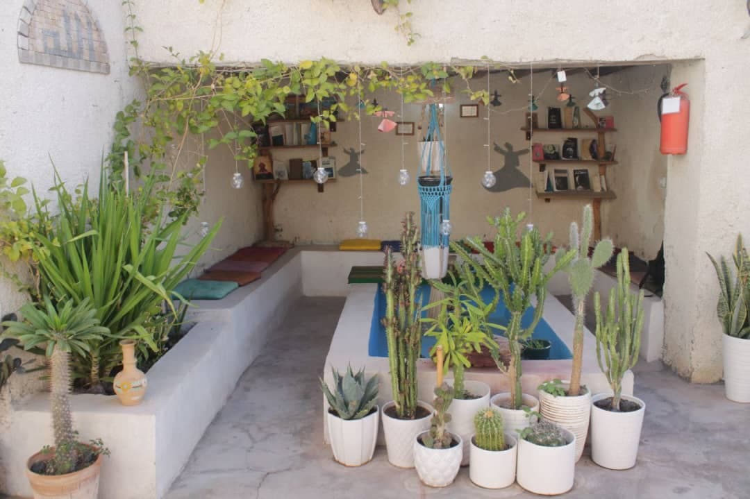 حیاط مجموعه