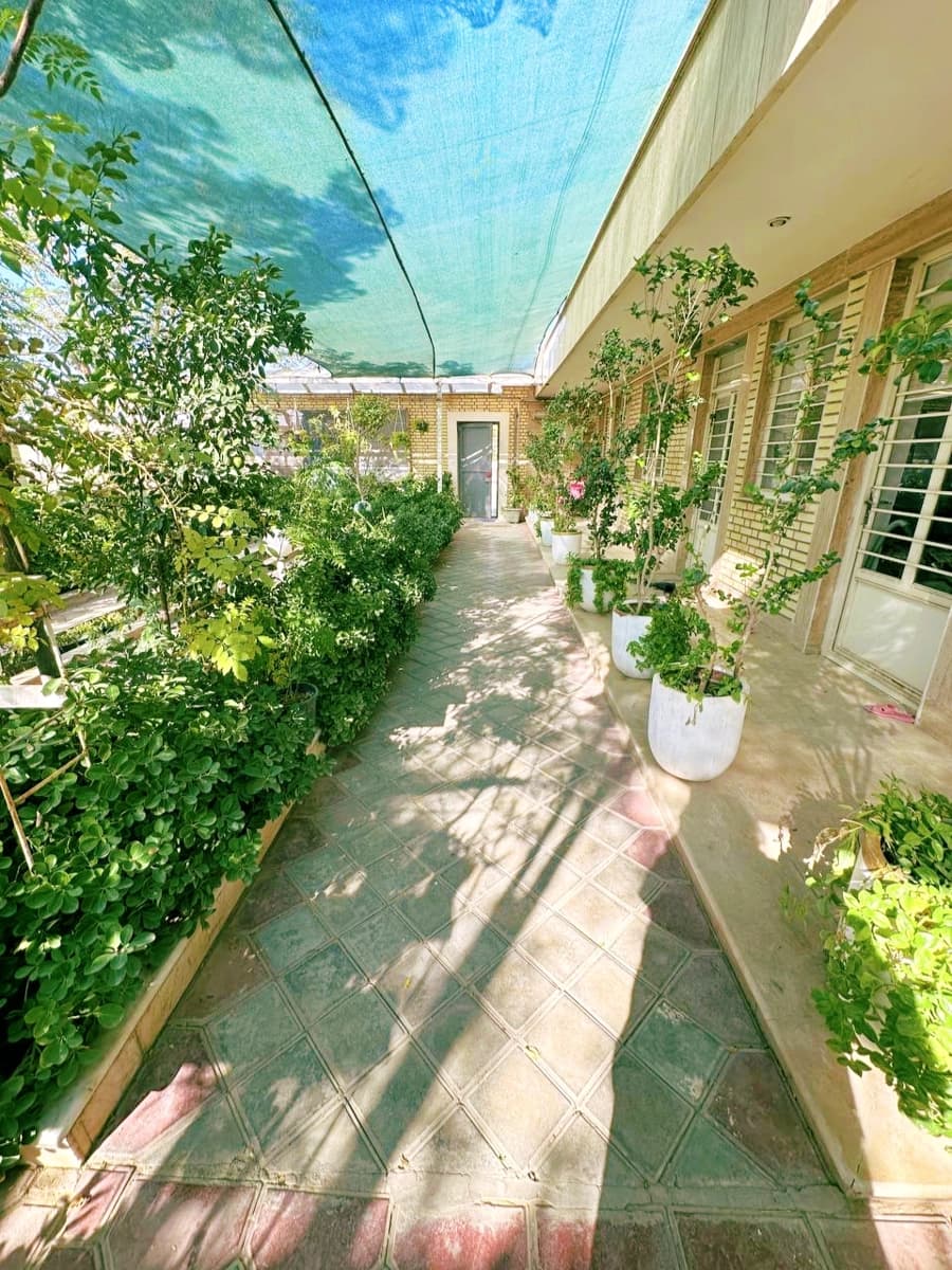 نما ساختمان 