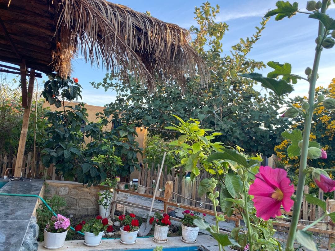 محوطه حیاط 