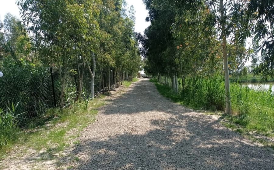 ورودی 