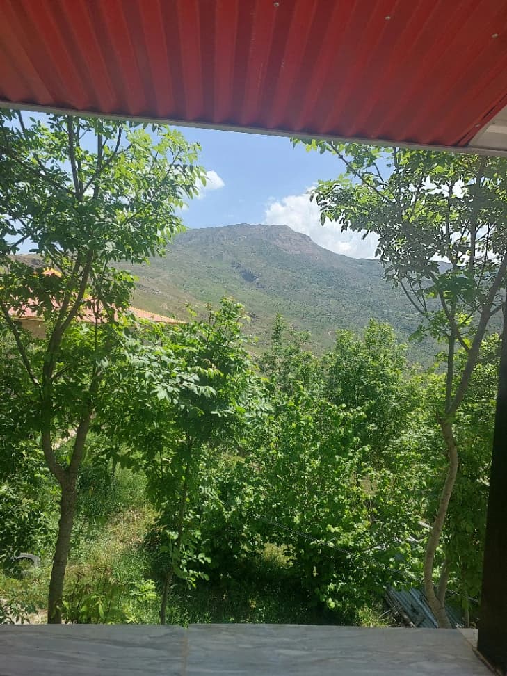 چشم انداز
