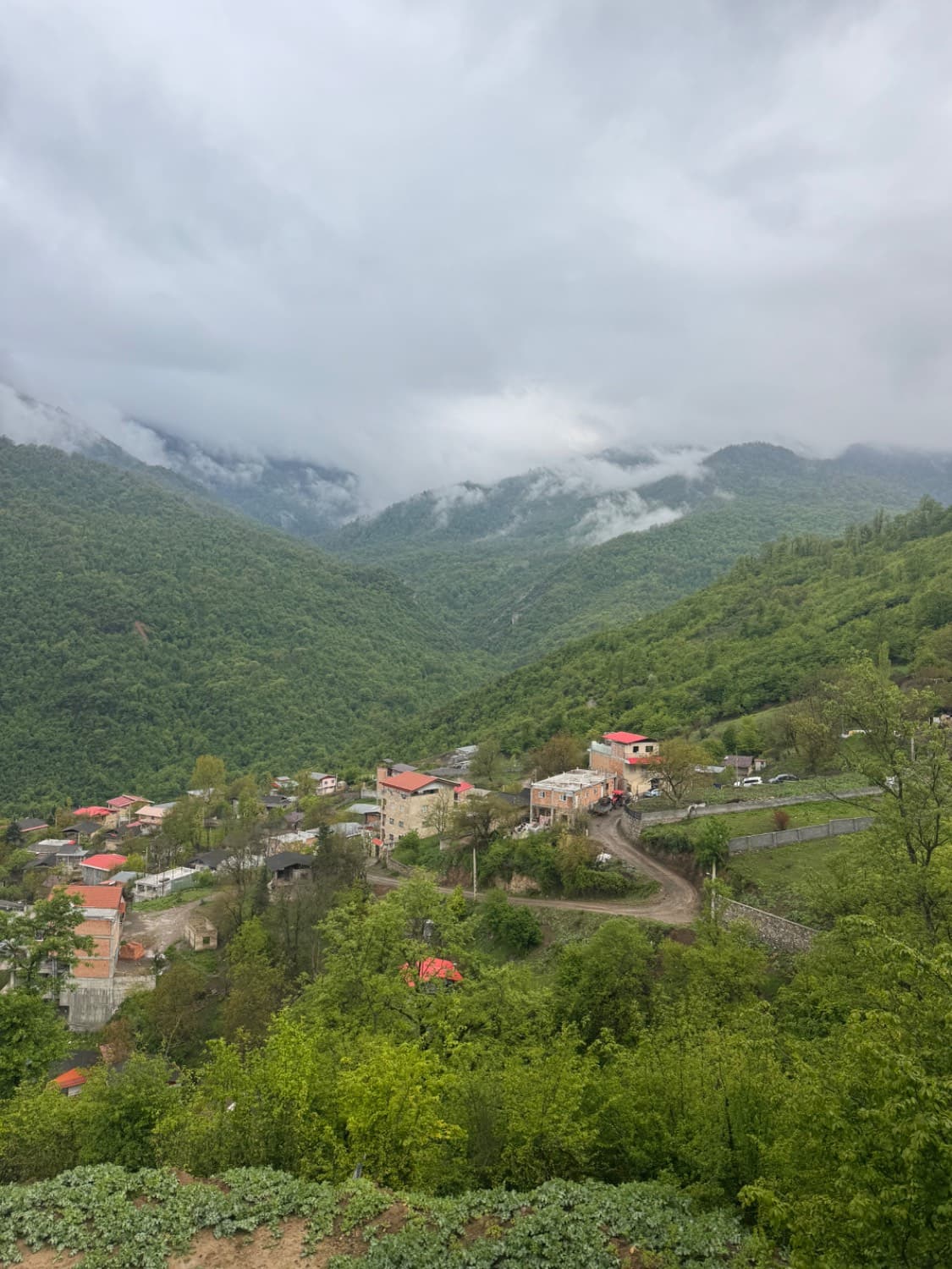 چشم انداز 