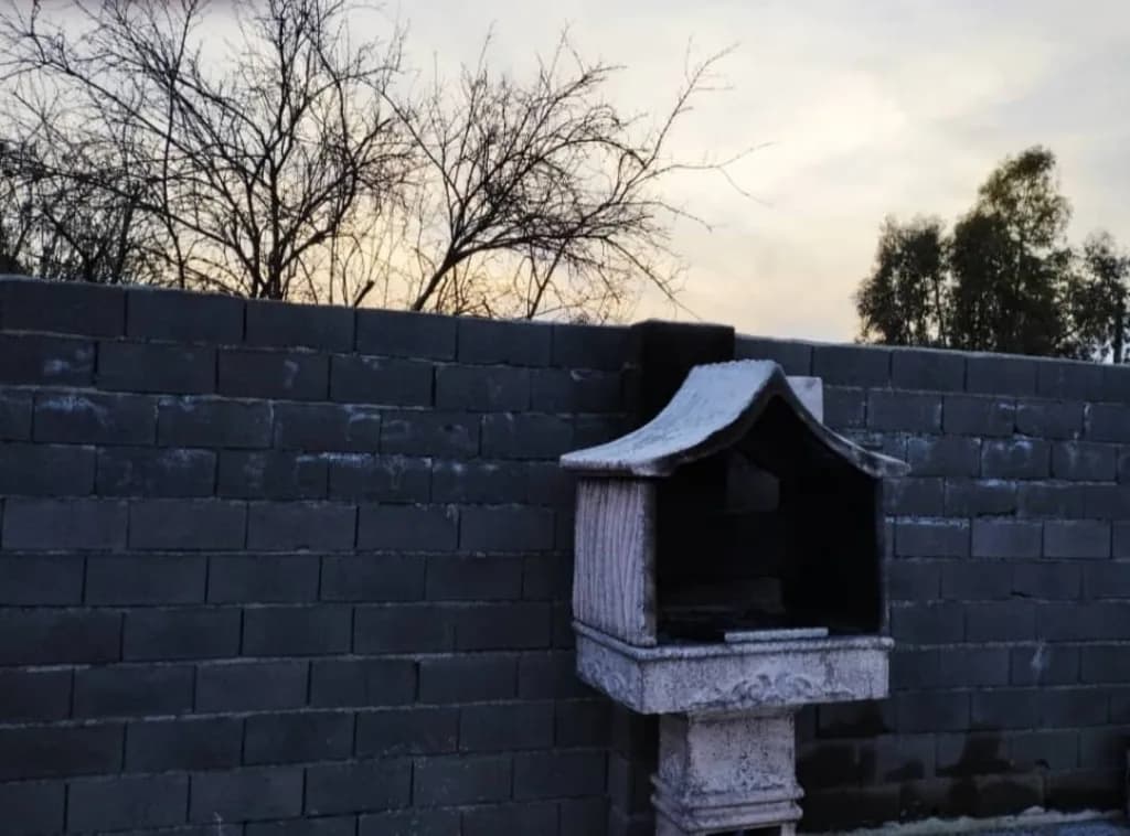 باربیکیو