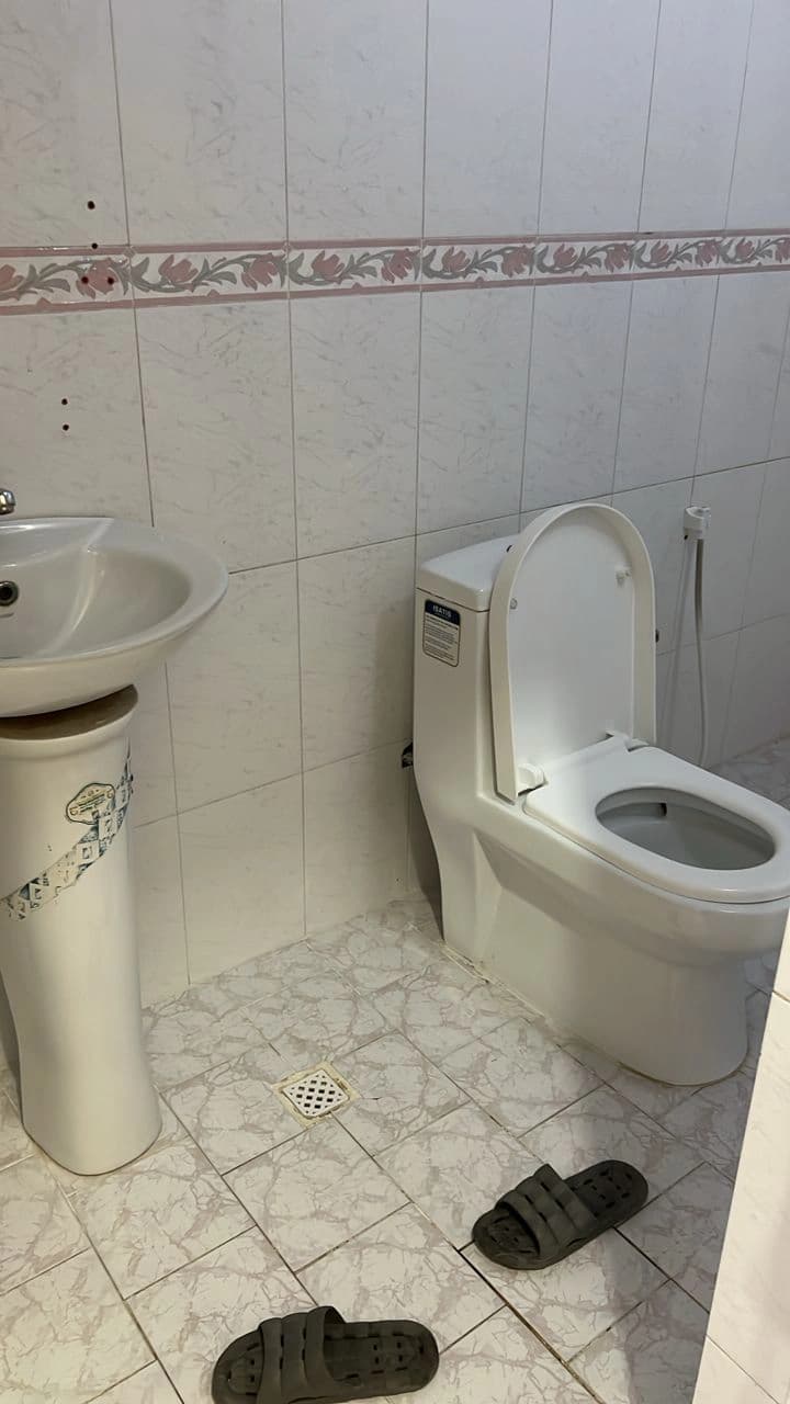 سرویس فرنگی