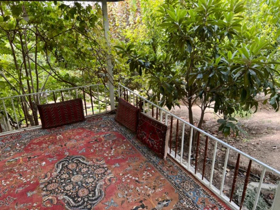 حیاط