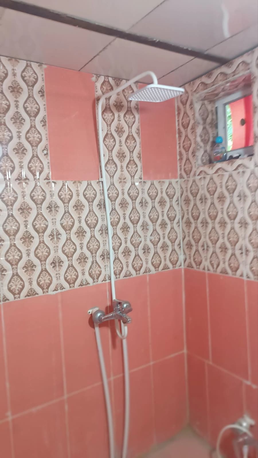 حمام 
