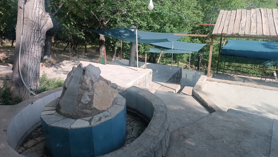 محوطه باغ 