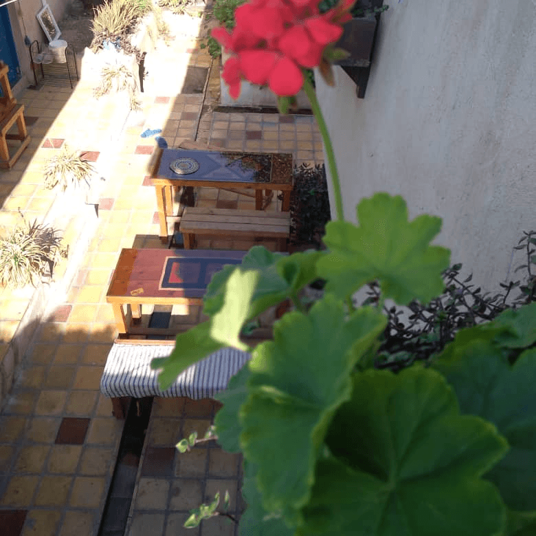 محوطه