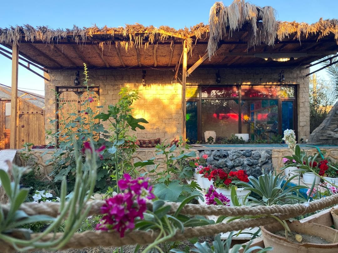محوطه حیاط 