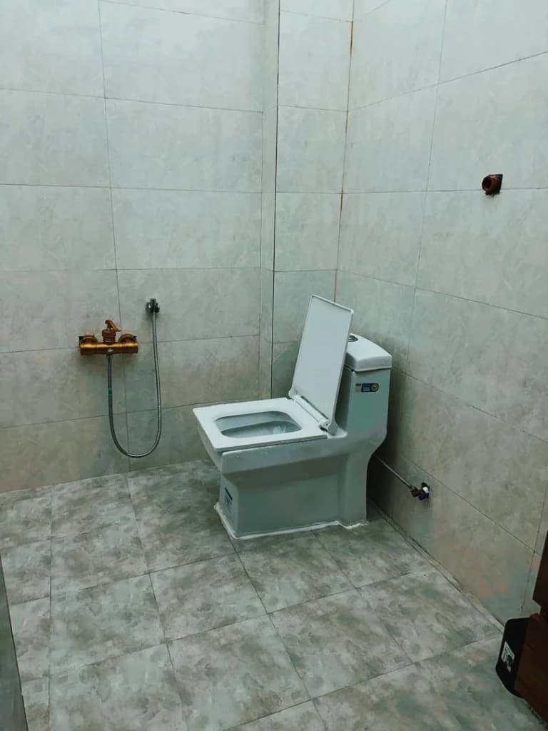 سرویس فرنگی 