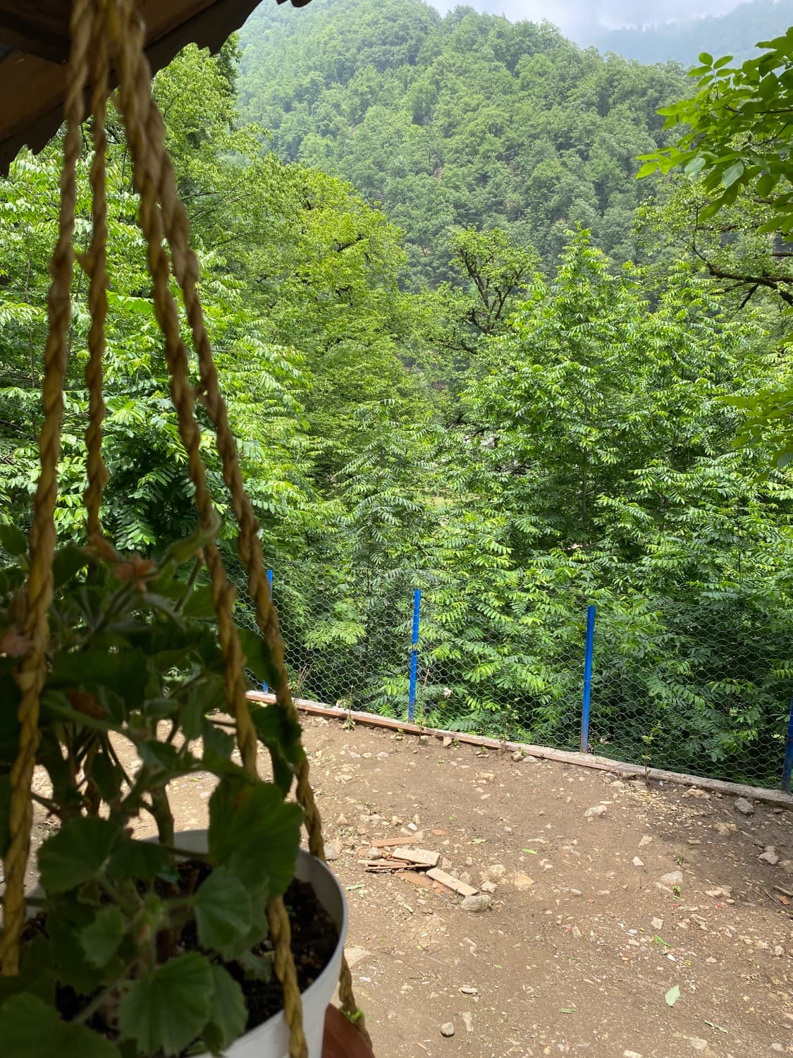 چشم انداز 