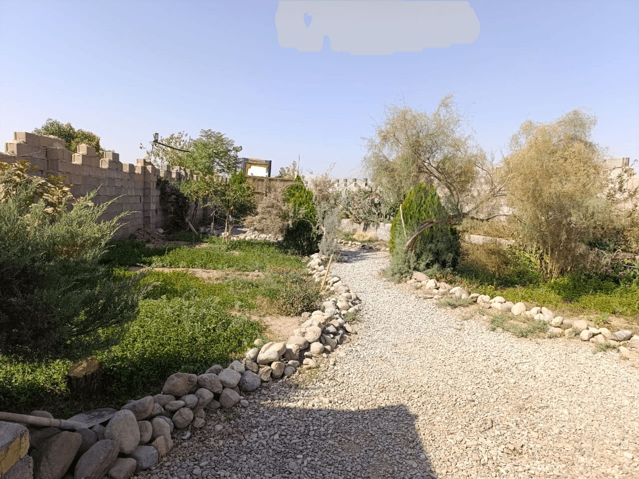 حیاط 
