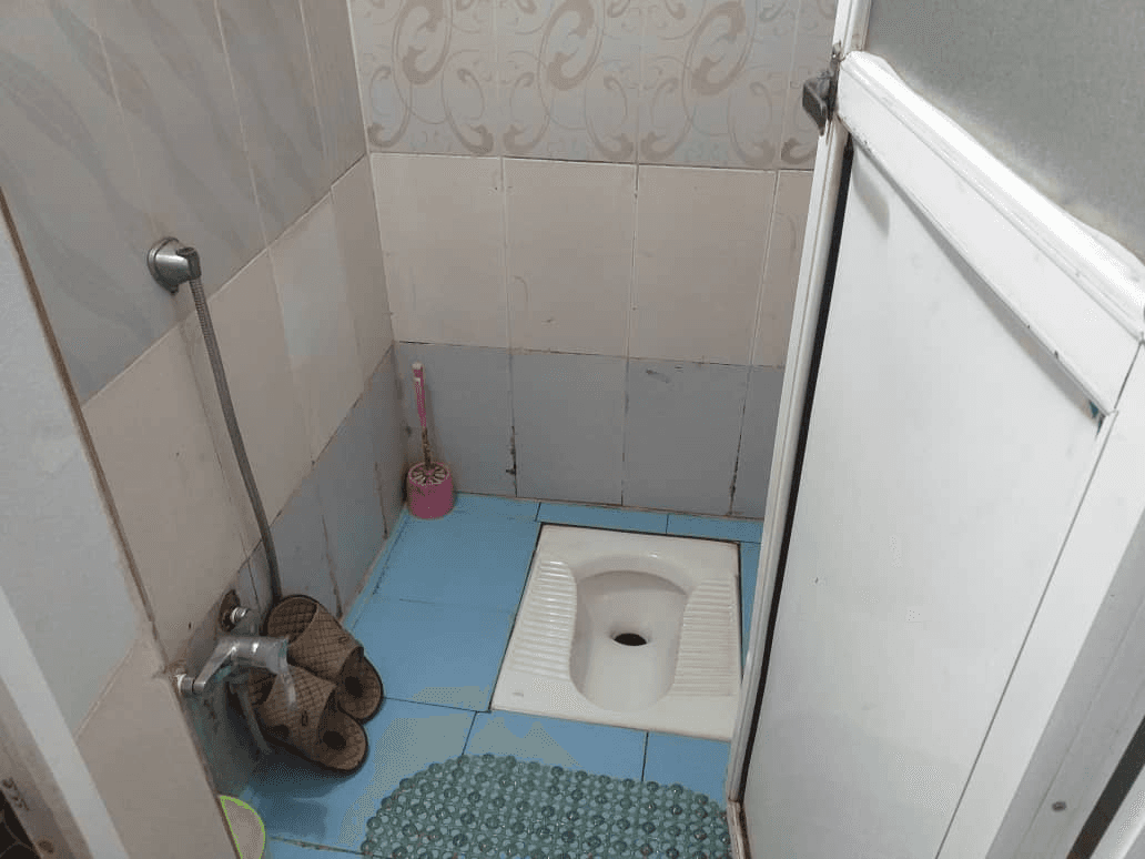 سرویس ایانی
