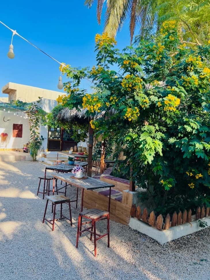 نمای حیاط 
