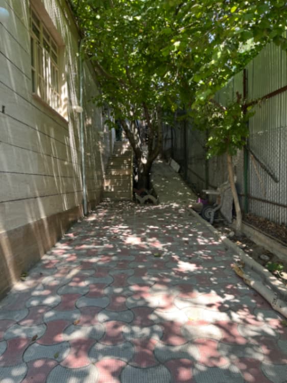 محوطه وردی ازسمت پارکینگ به ویلا 