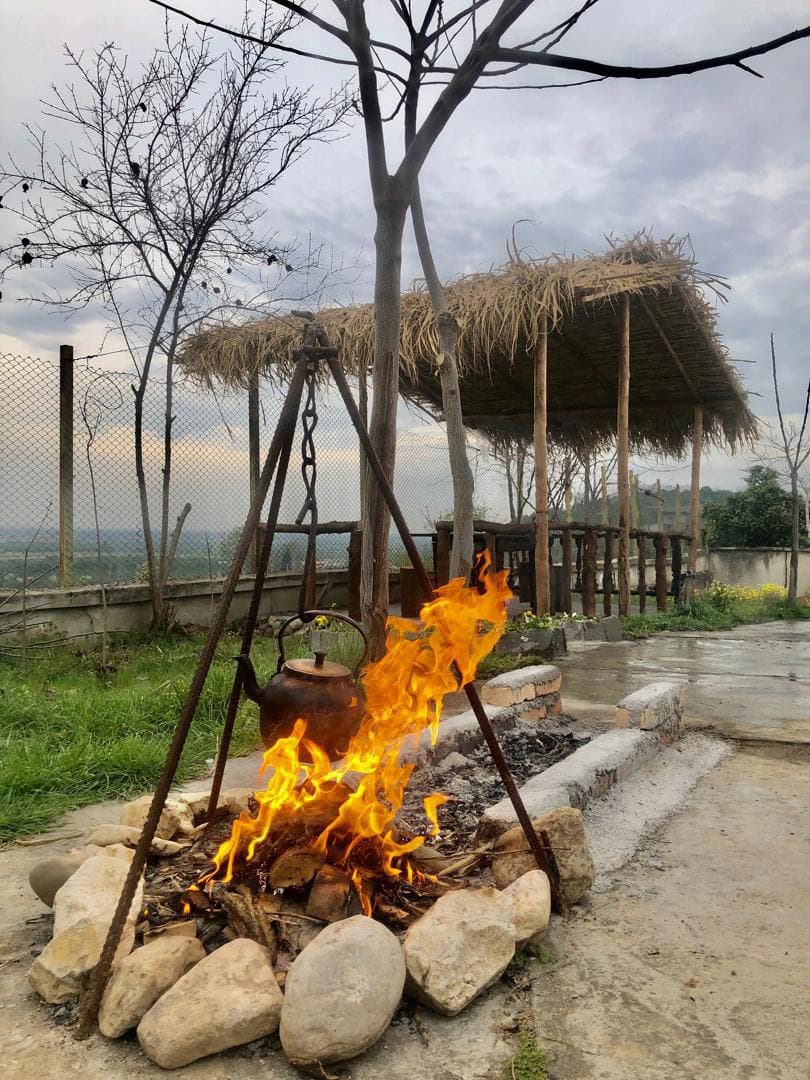 محوطه